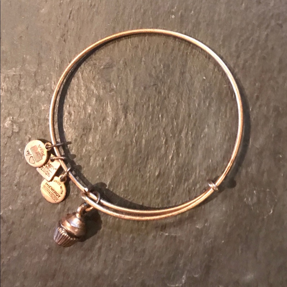 Alex and Ani bracelet - Picture 3 of 4